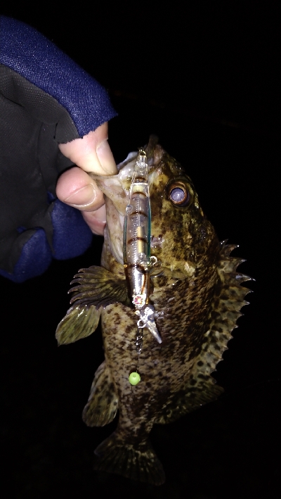 ナイトメバリング