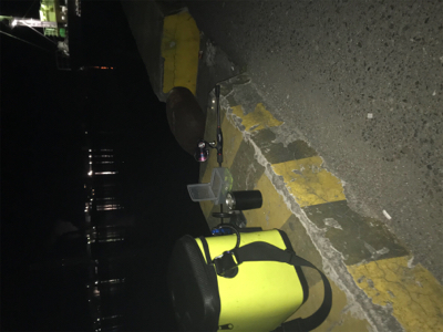 懲りずにヒイカ釣りσ(^_^;)