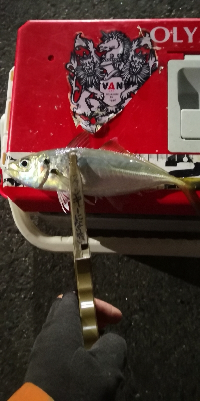 アジング練習 108