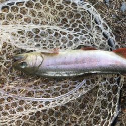 初めての管理釣り場