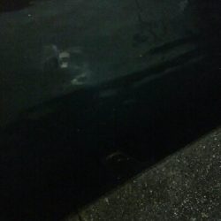 満員で、入る場所がない・・・