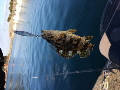 朝~昼ライトゲーム