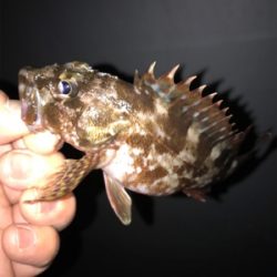 調子が良くなってきた!