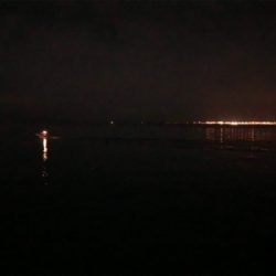 ナイスサイズアジ