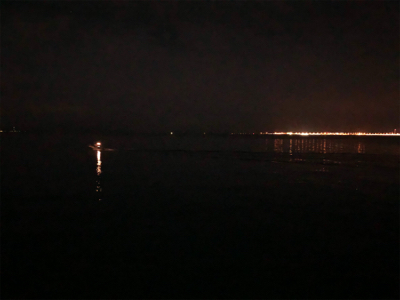 ナイスサイズアジ