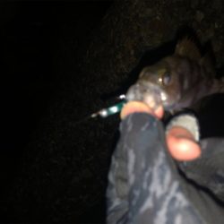 タフコンディション