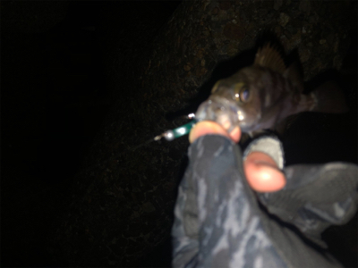 タフコンディション