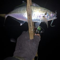 アジング練習 112