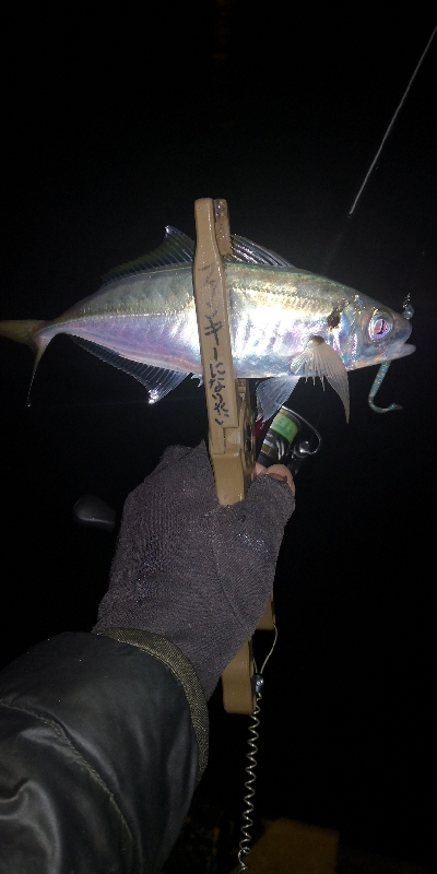 アジング練習 112