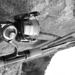 芥川マス釣り場