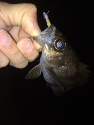 ライトゲームにゃキツイ時期ですなぁ