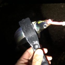 ライトゲーム♪