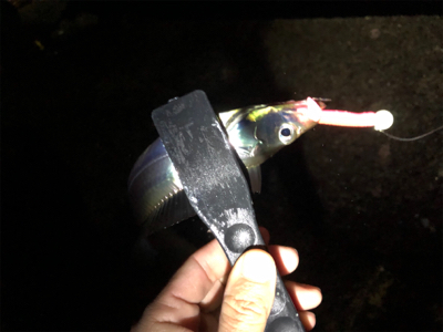 ライトゲーム♪