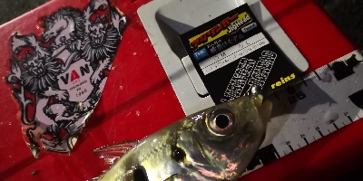 アジング練習  114