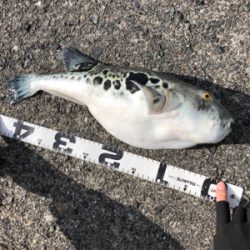 渋い中で何とか1杯