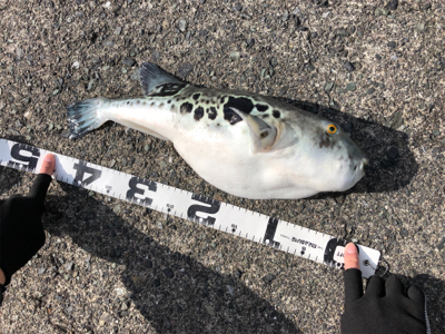 渋い中で何とか1杯