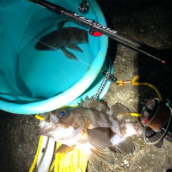 ちょこっとメバリング