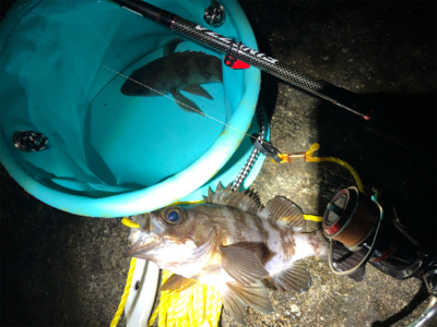 ちょこっとメバリング