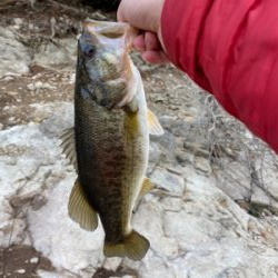 暖かい日差しが続くので釣りに行きました！！