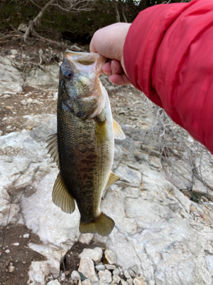 暖かい日差しが続くので釣りに行きました！！