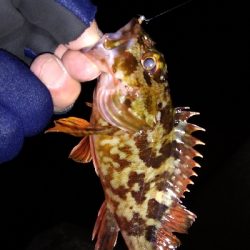 ナイトメバリング