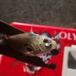 アジング 練習 117