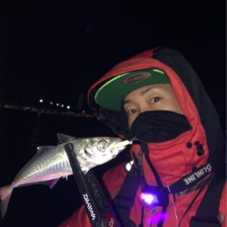 フロートアジング釣行☆GUNNING-STYLE