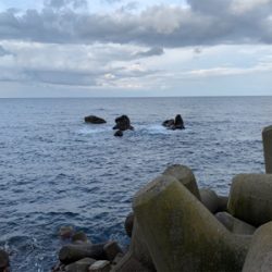 外道で大物ゲスト