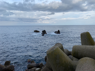 外道で大物ゲスト