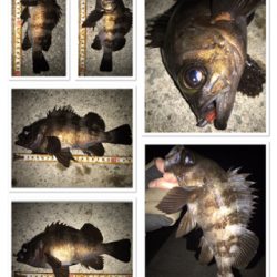 2020ライトゲーム第7戦