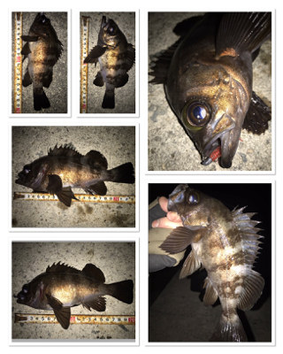 2020ライトゲーム第7戦