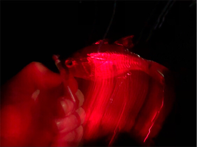 ライトゲーム♪