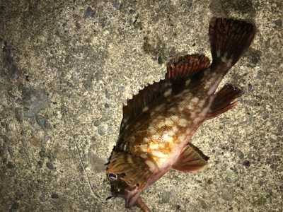 厳しくなってきましたねぇ