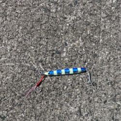 ライトショアジギング