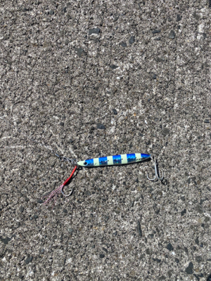 ライトショアジギング