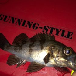 フロートゲーム☆GUNNING-STYLE