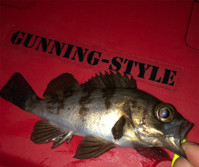 フロートゲーム☆GUNNING-STYLE