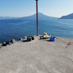 重富港 チヌ釣り