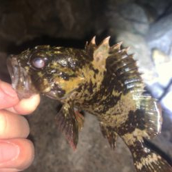 ライトゲーム！