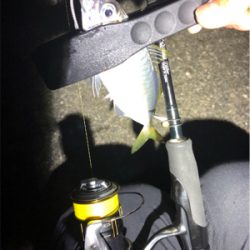 キャロアジング！