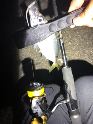 キャロアジング！