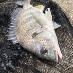 ランガンスタイル