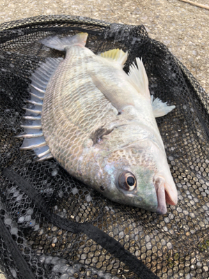 ランガンスタイル