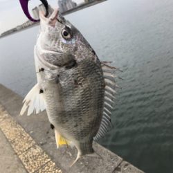 怒涛の3連チャン