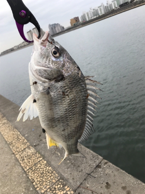 怒涛の3連チャン