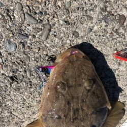 和歌山遠征2日目‼️