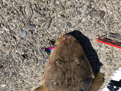 和歌山遠征2日目‼️