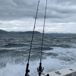 明石沖ジギング
