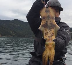 つりぴぃぽぉ釣果