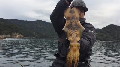 つりぴぃぽぉ釣果